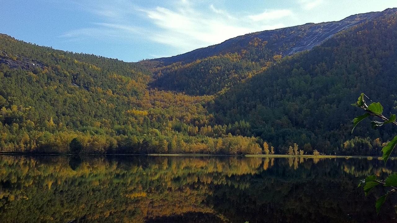 Tommerneset Camping Hotel Innhavet Bagian luar foto